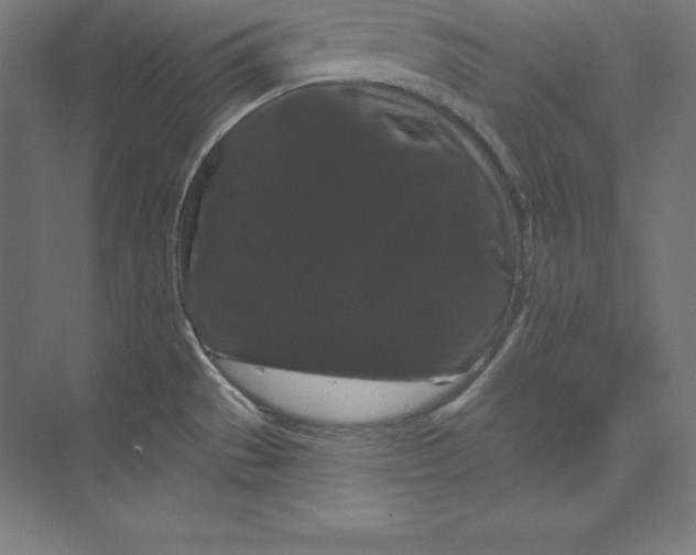 X0000074011529200609061036