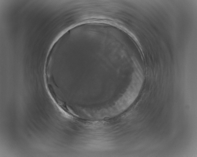 X0000074011533200609061036