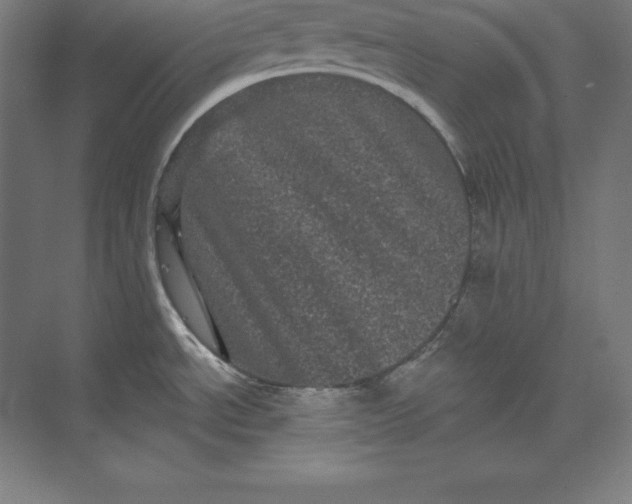X0000074011534200609061036