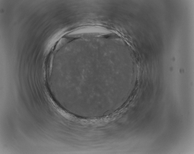 X0000074010005200609111635