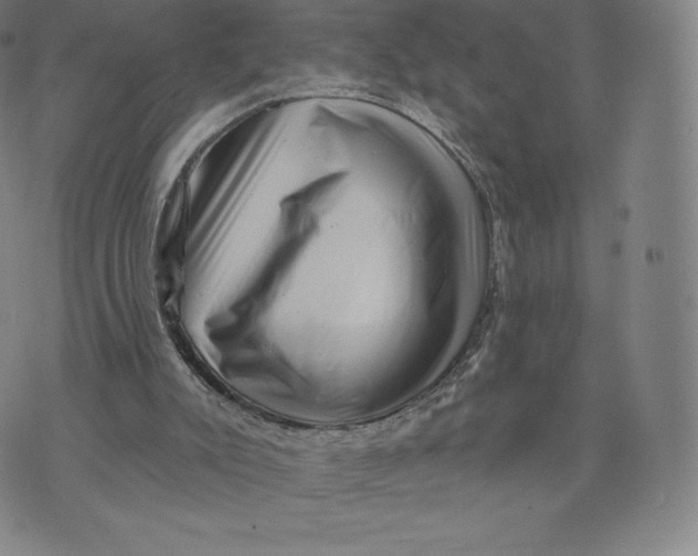 X0000074010007200609111635