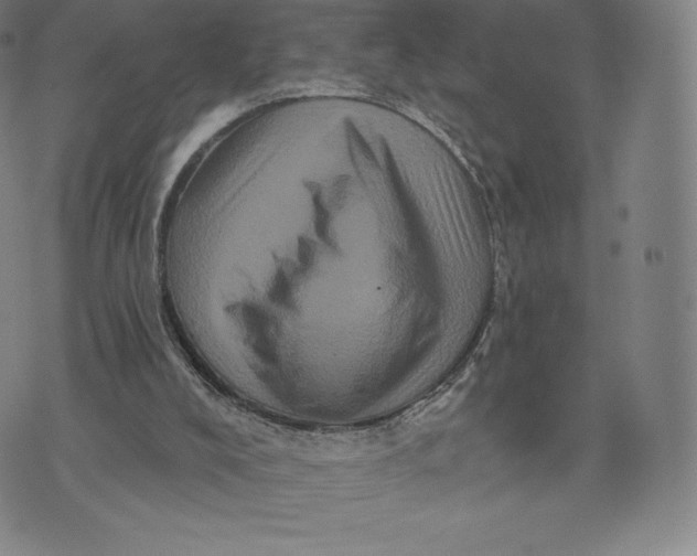 X0000074010008200609111635