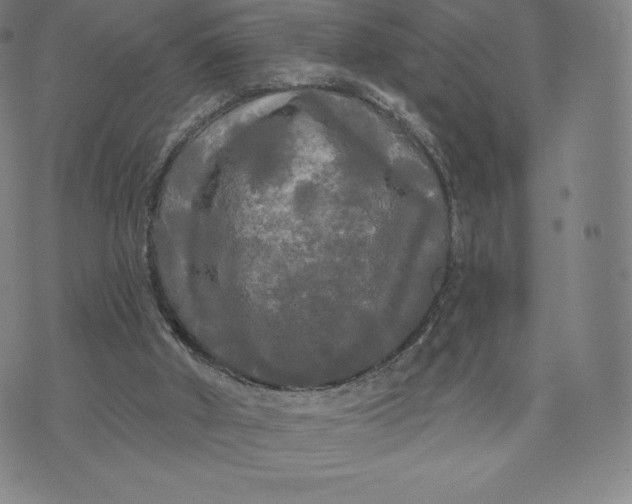 X0000074010010200609111635