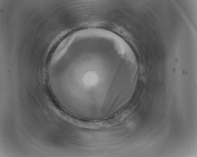 X0000074010012200609111635