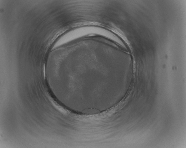 X0000074010013200609111635