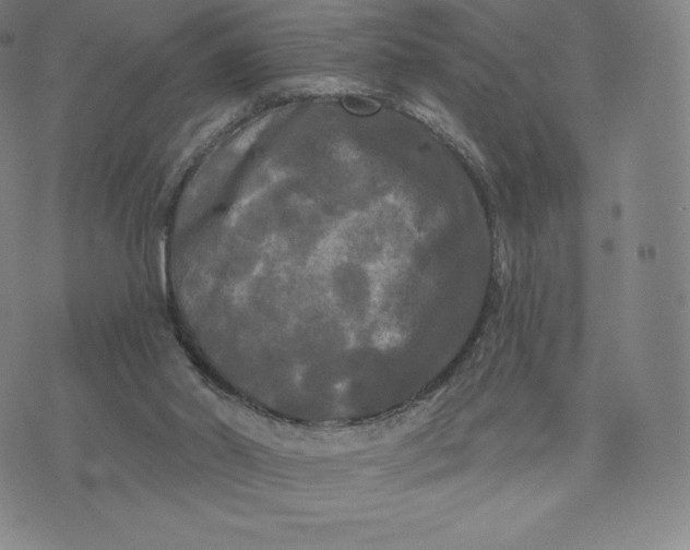 X0000074010014200609111635