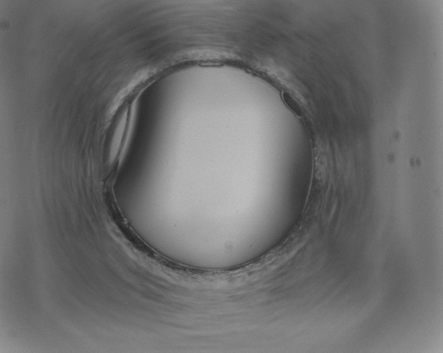 X0000074010015200609111635