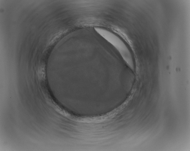 X0000074010017200609111635