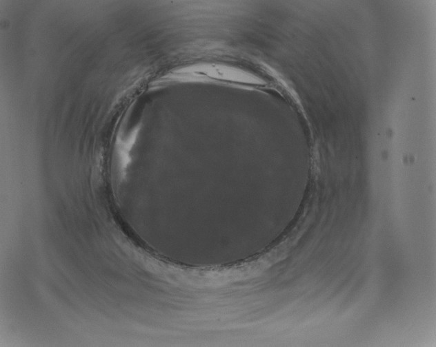 X0000074010018200609111635