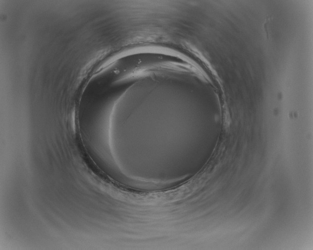 X0000074010019200609111635