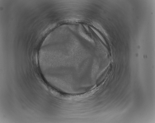 X0000074010021200609111635