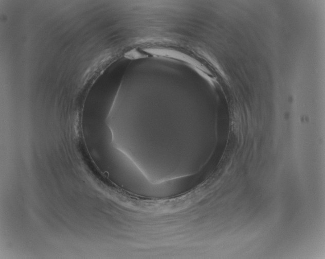 X0000074010023200609111635