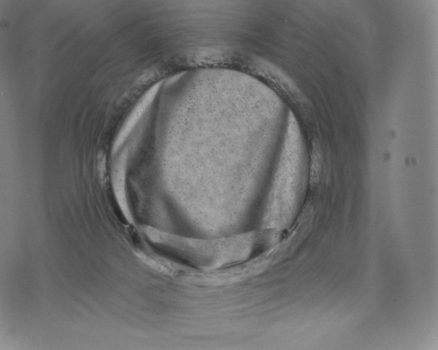 X0000074010025200609111635