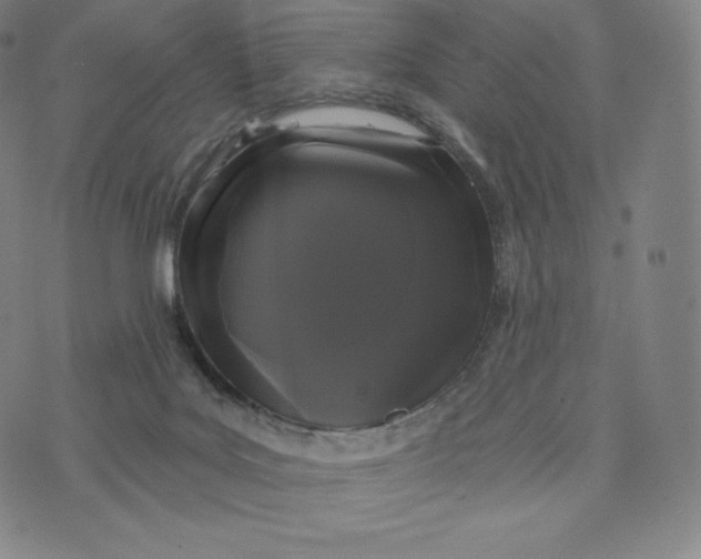 X0000074010027200609111635