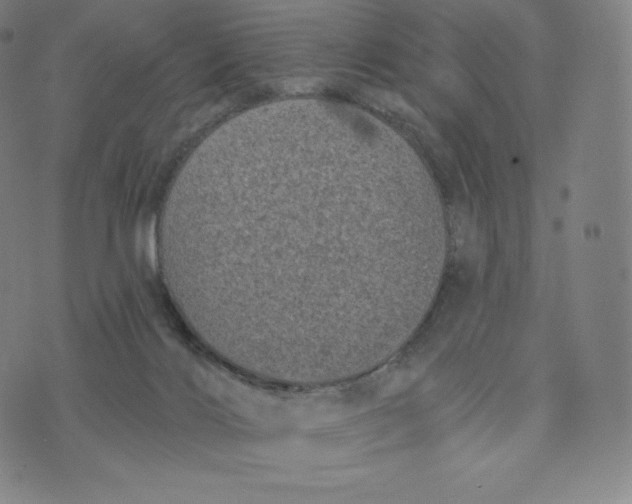 X0000074010028200609111635