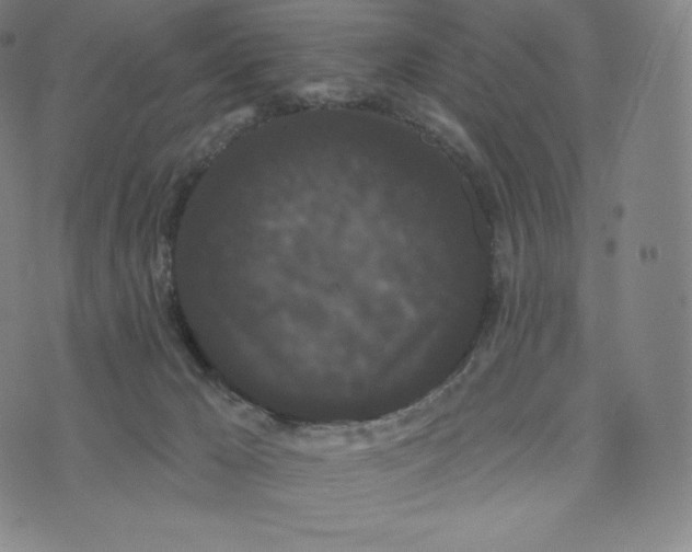 X0000074010029200609111635