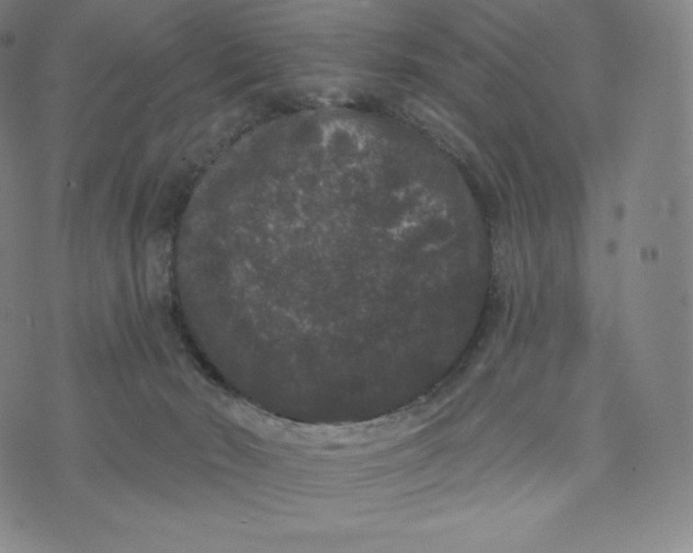 X0000074010030200609111635