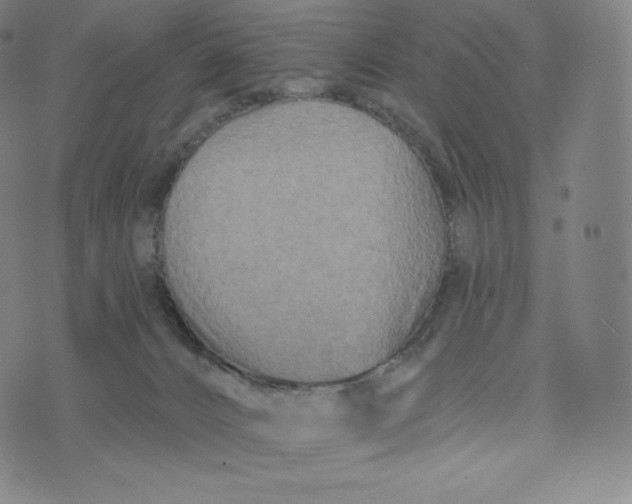 X0000074010032200609111635