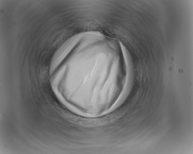 X0000074010034200609111635