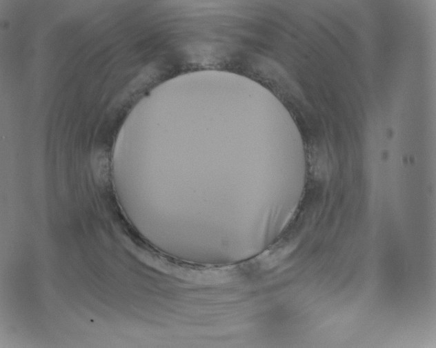 X0000074010036200609111635