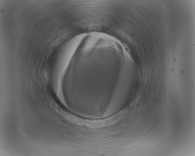 X0000074010039200609111635