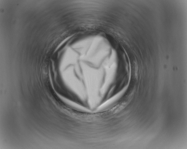 X0000074010040200609111635