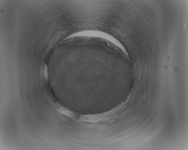 X0000074010041200609111635