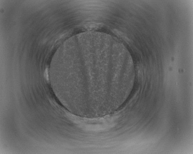 X0000074010042200609111635