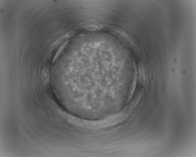 X0000074010043200609111634