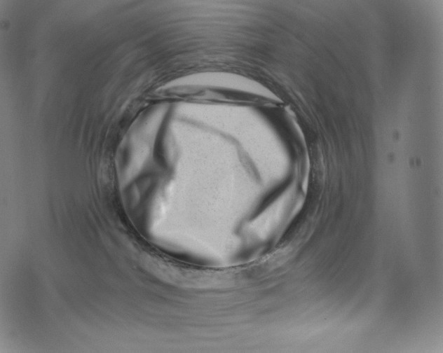 X0000074010044200609111634