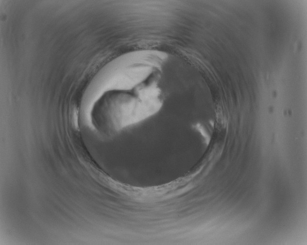 X0000074010046200609111634