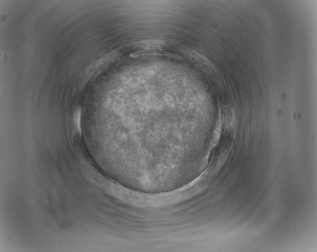 X0000074010047200609111634