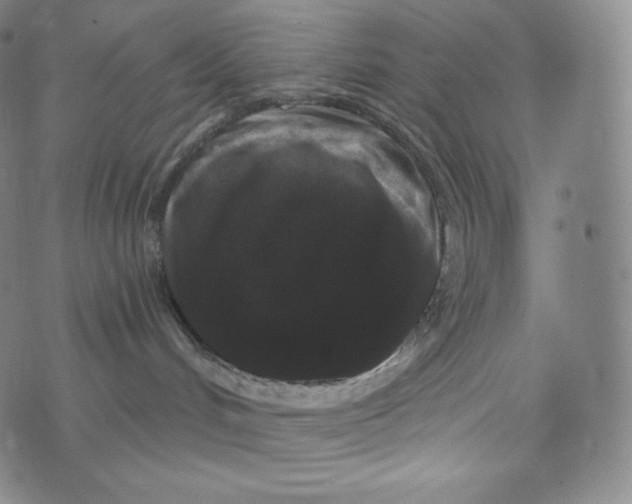 X0000074010048200609111634