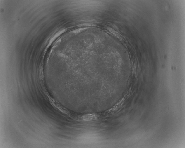 X0000074010050200609111634