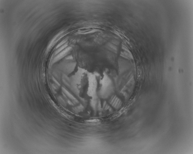 X0000074010053200609111634