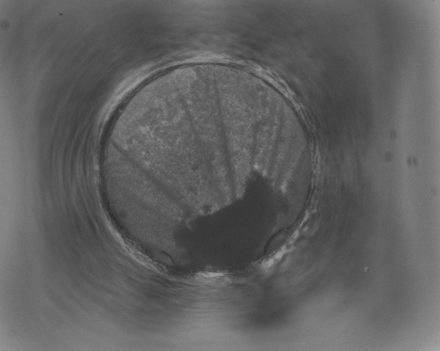 X0000074010055200609111634