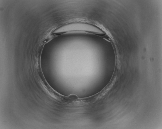 X0000074010057200609111634