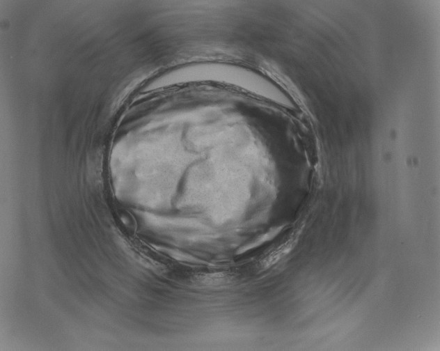 X0000074010058200609111634