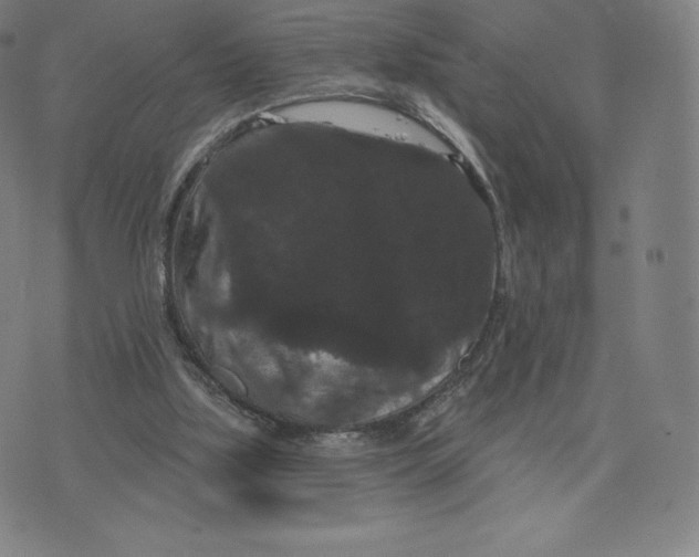 X0000074010059200609111634