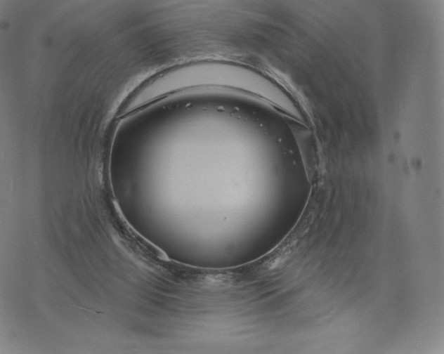 X0000074010060200609111634