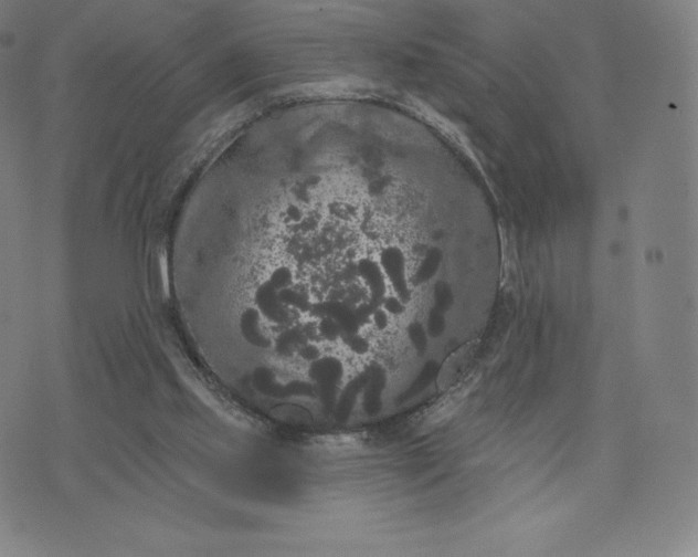 X0000074010061200609111634