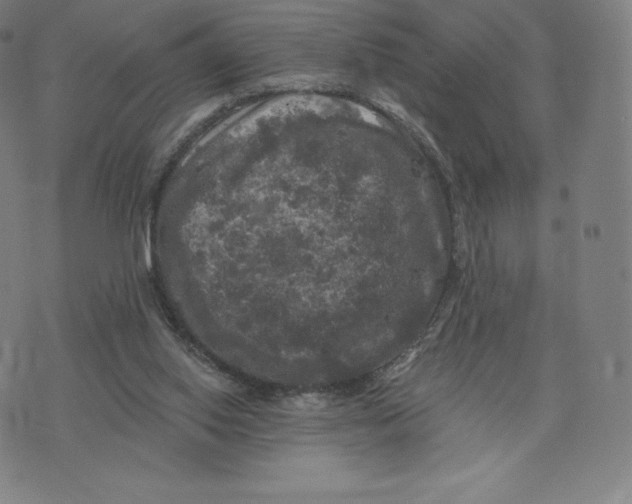 X0000074010062200609111634