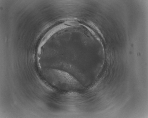 X0000074010063200609111634