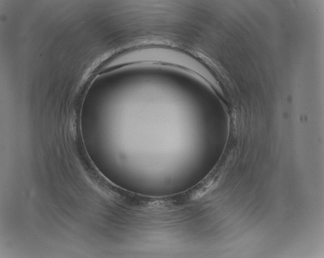 X0000074010064200609111634