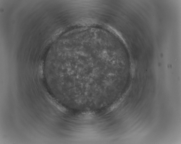 X0000074010065200609111634