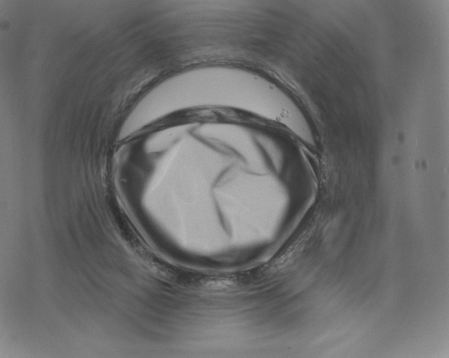 X0000074010066200609111634