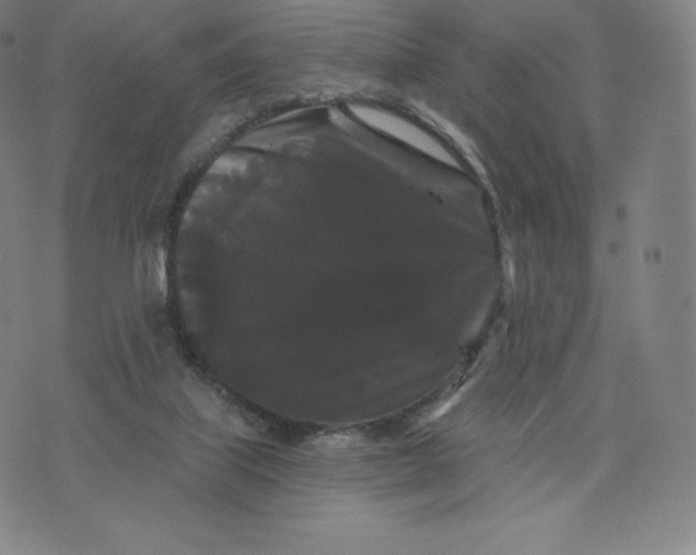 X0000074010067200609111634