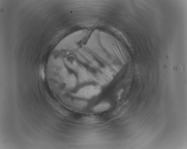 X0000074010069200609111634