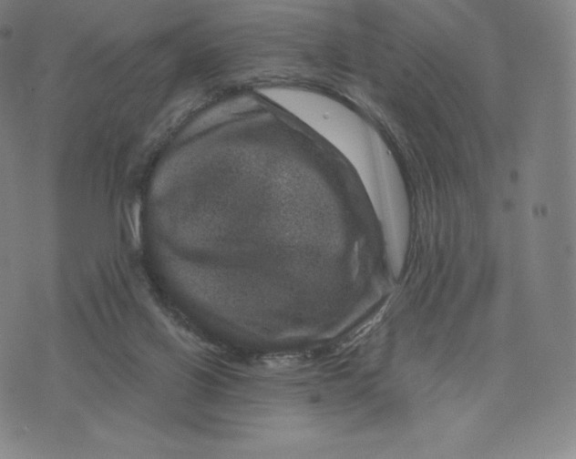 X0000074010070200609111634