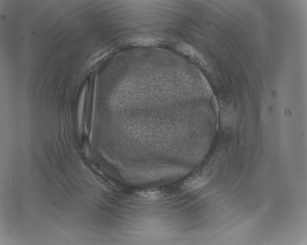 X0000074010071200609111634